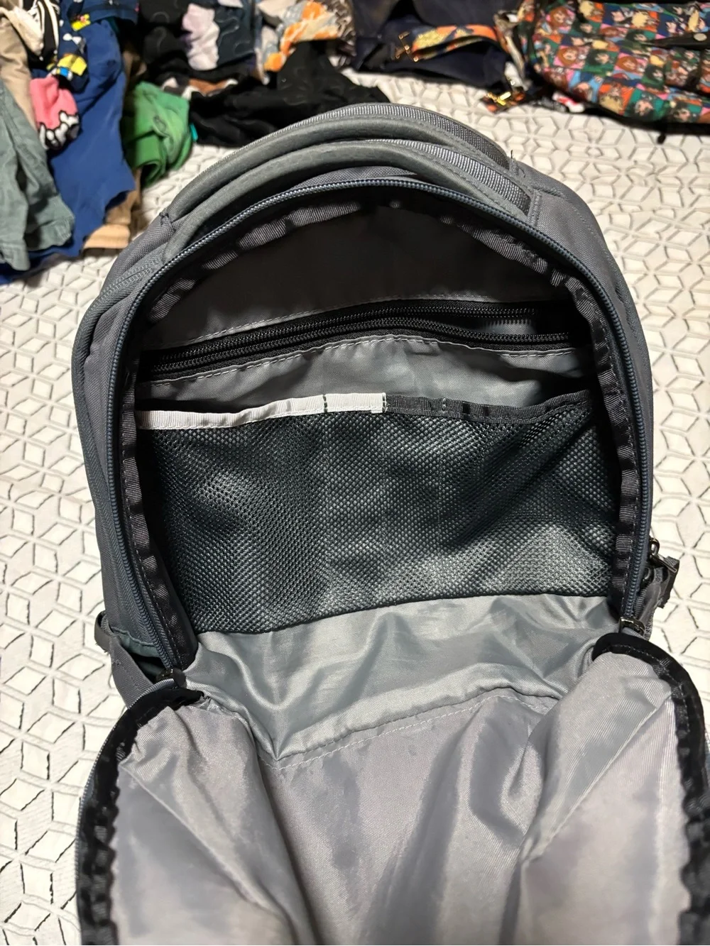 The North Face Pink and Gray Everyday Backpack